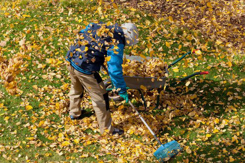 Allseasons Soils